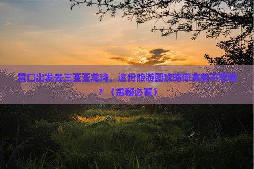营口去三亚亚龙湾大型旅游团