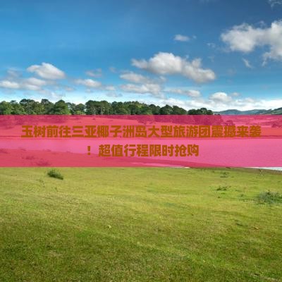玉树前往三亚椰子洲岛大型旅游团