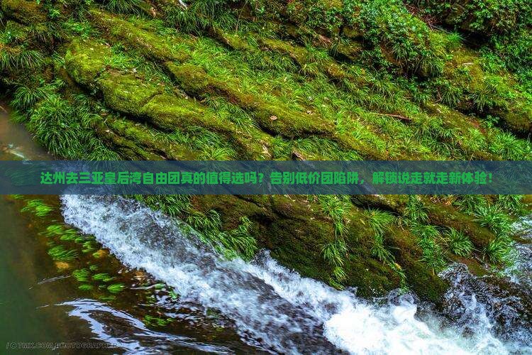 达州去三亚皇后湾自由团