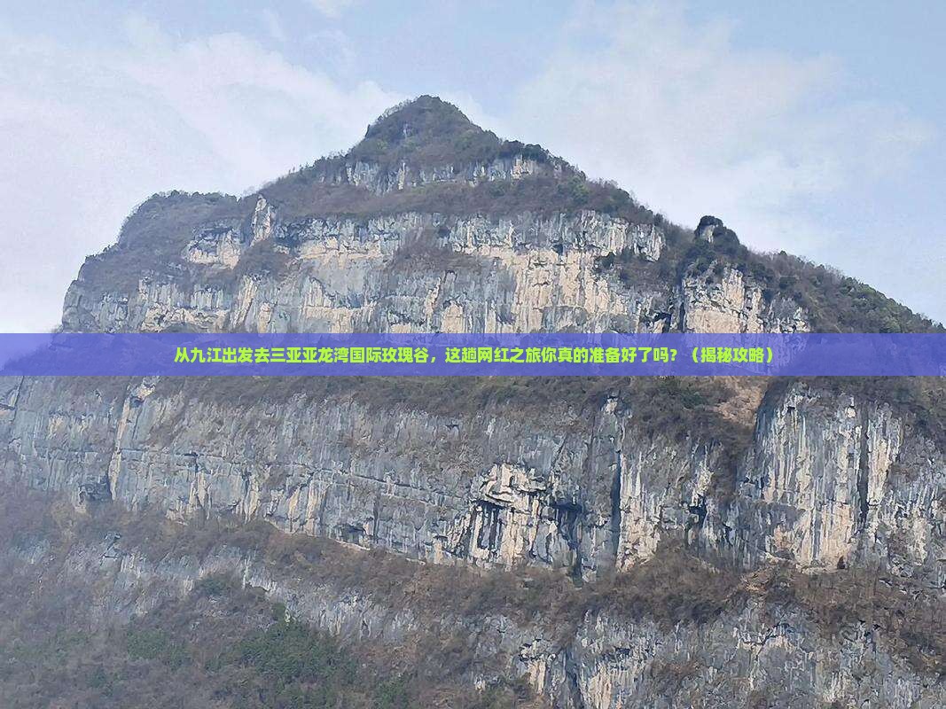 九江去三亚亚龙湾国际玫瑰谷旅游网红地点