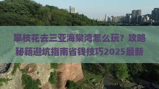 攀枝花前往三亚海棠湾一日游
