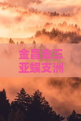 金昌去三亚蜈支洲岛旅游小吃
