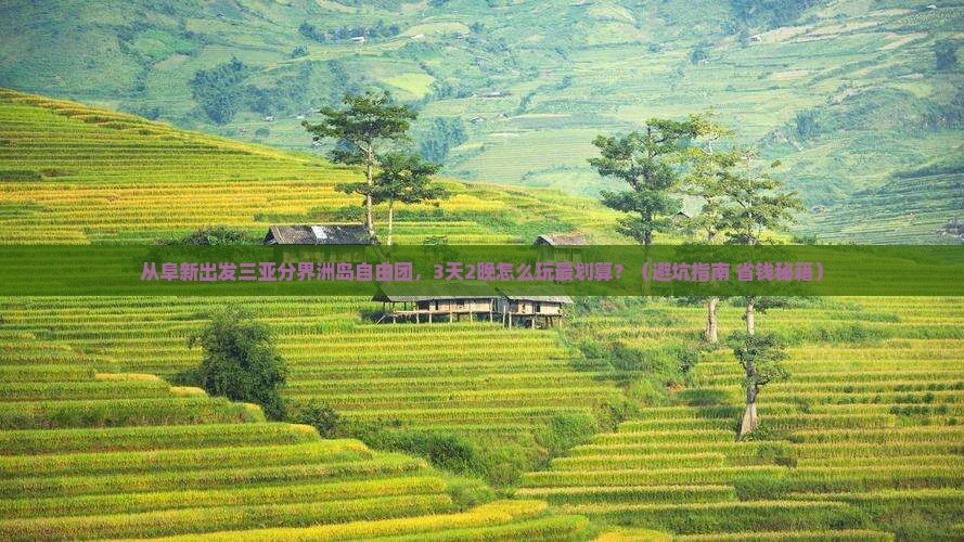 阜新出发三亚分界洲岛自由团