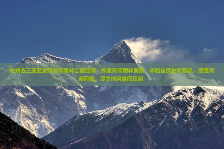 忻州去三亚亚龙湾热带森林公园旅游