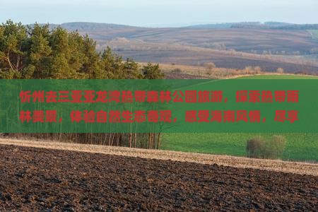 忻州去三亚亚龙湾热带森林公园旅游