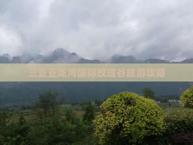 文山去三亚亚龙湾国际玫瑰谷旅行社