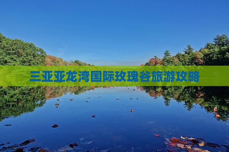 文山去三亚亚龙湾国际玫瑰谷旅行社
