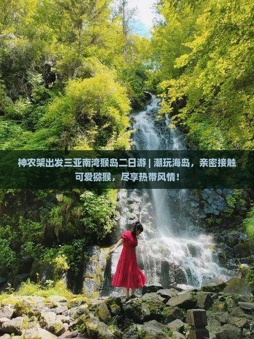 神农架出发三亚南湾猴岛二日游