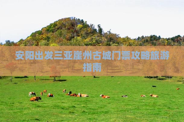 安阳出发三亚崖洲古城门票