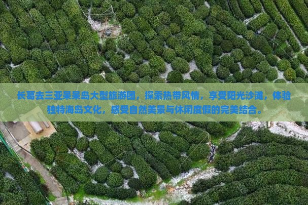 长葛去三亚呆呆岛大型旅游团