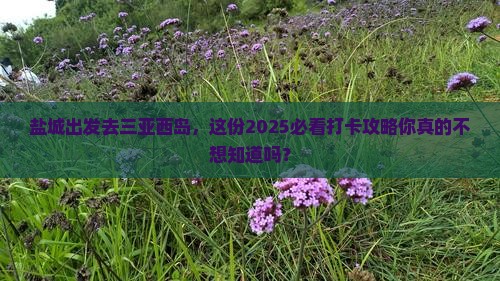 盐城前往三亚西岛旅游打卡点