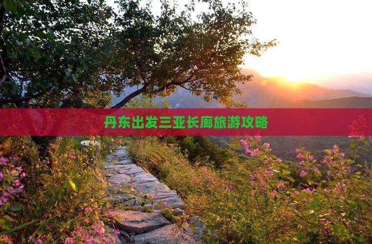 丹东出发三亚椰梦长廊个人游
