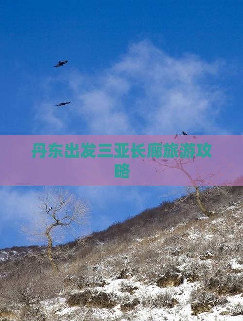 丹东出发三亚椰梦长廊个人游