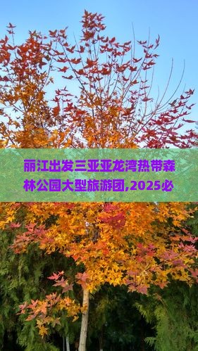 丽江出发三亚亚龙湾热带森林公园大型旅游团