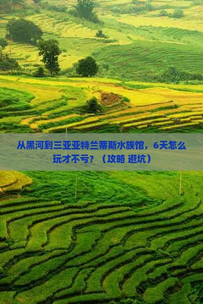 黑河前往三亚亚特兰蒂斯水族馆六日游