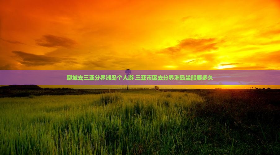 聊城去三亚分界洲岛个人游