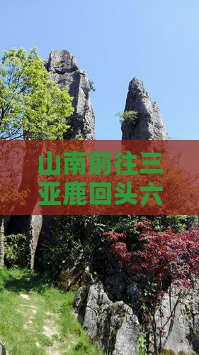 山南前往三亚鹿回头六日游