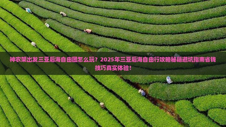 神农架出发三亚后海自由团