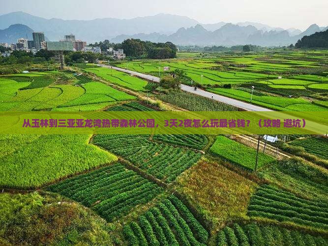 玉林前往三亚亚龙湾热带森林公园门票