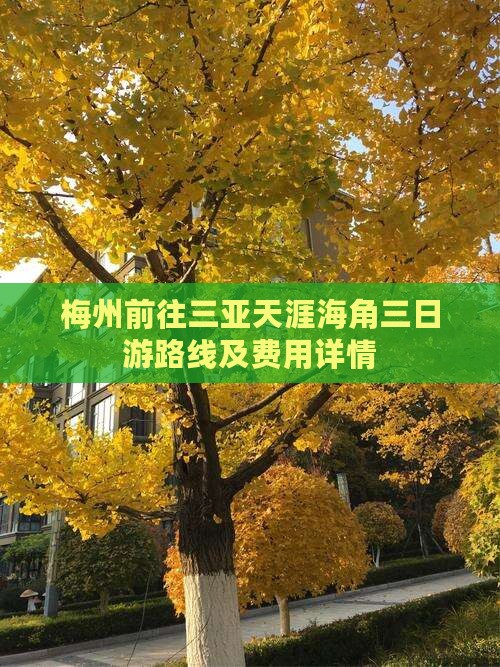 梅州前往三亚天涯海角三日游