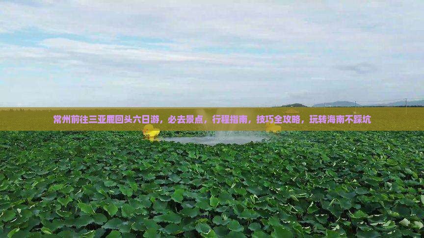 常州前往三亚鹿回头六日游