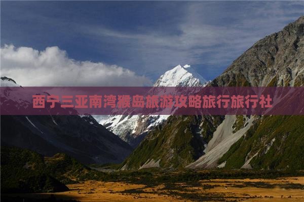 西宁去三亚南湾猴岛旅行社