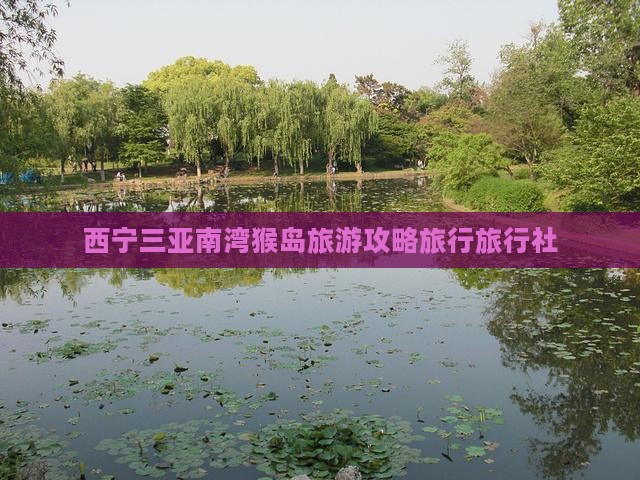 西宁去三亚南湾猴岛旅行社