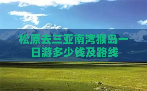松原去三亚南湾猴岛一日游