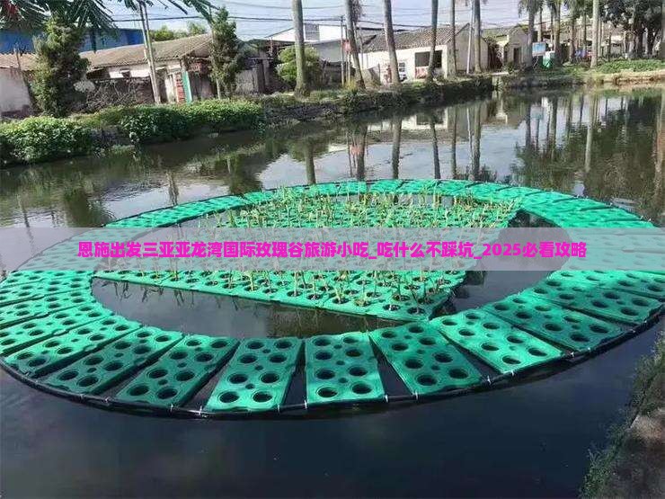 恩施出发三亚亚龙湾国际玫瑰谷旅游小吃