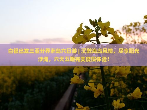 白银出发三亚分界洲岛六日游