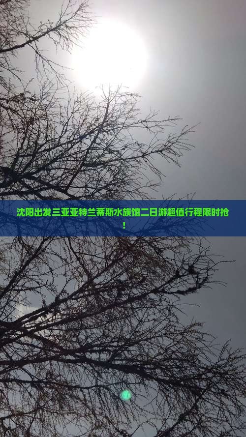 沈阳出发三亚亚特兰蒂斯水族馆二日游