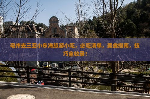 亳州去三亚小东海旅游小吃