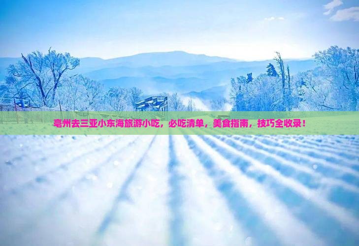 亳州去三亚小东海旅游小吃