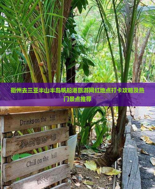 衢州去三亚半山半岛帆船港旅游网红地点打卡攻略及热门景点推荐