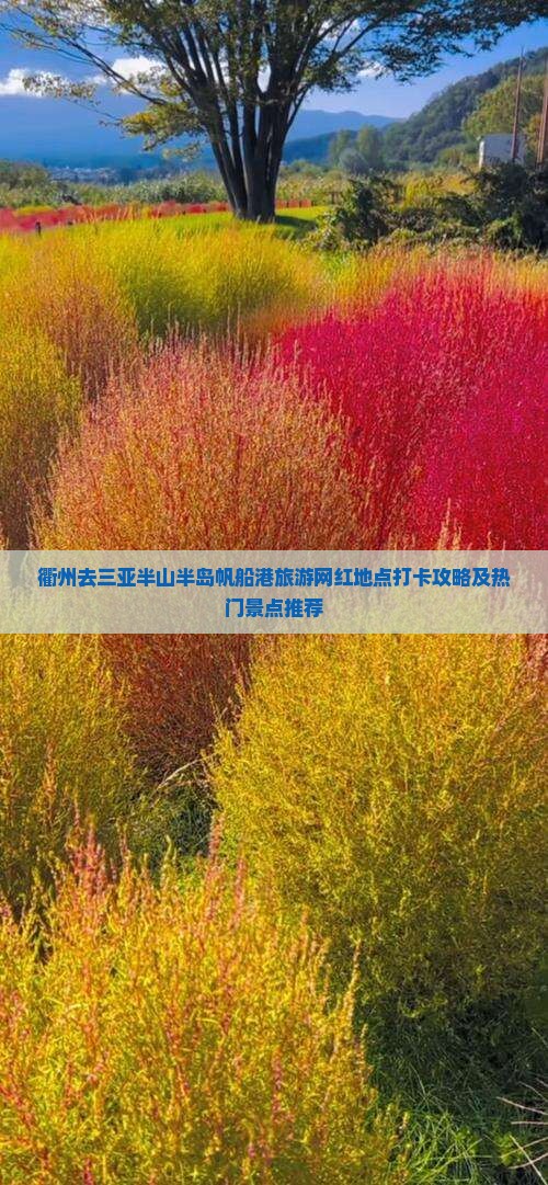 衢州去三亚半山半岛帆船港旅游网红地点打卡攻略及热门景点推荐