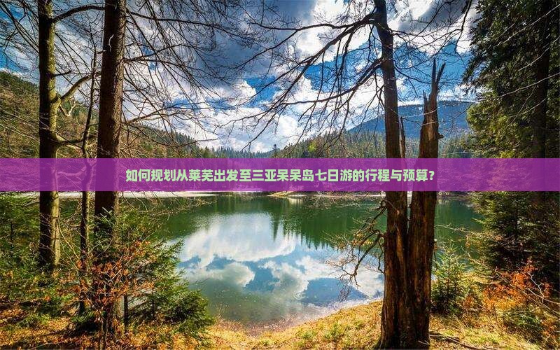 如何规划从莱芜出发至三亚呆呆岛七日游的行程与预算？