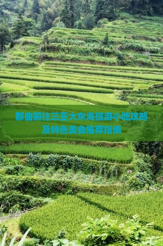那曲前往三亚大东海旅游小吃攻略及特色美食推荐指南