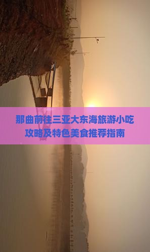 那曲前往三亚大东海旅游小吃攻略及特色美食推荐指南