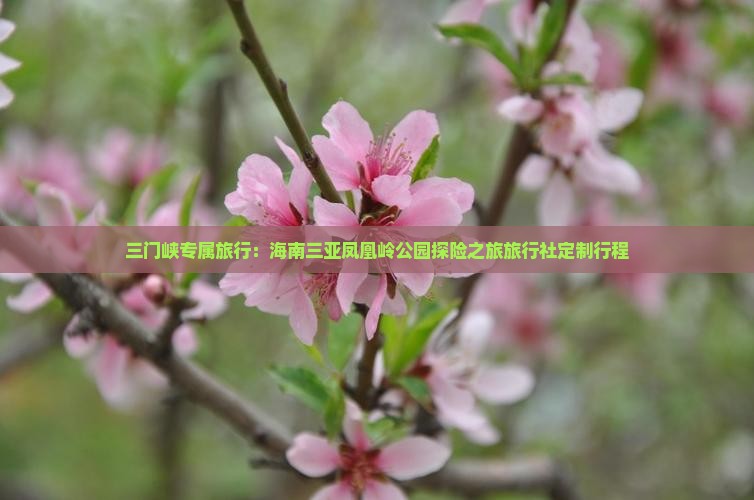 三门峡专属旅行：海南三亚凤凰岭公园探险之旅旅行社定制行程