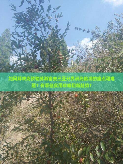 如何解决克孜勒苏游客去三亚分界洲岛旅游的痛点和难题？有哪些实用攻略和新趋势？