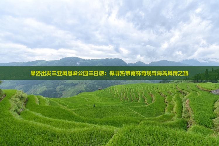 果洛出发三亚凤凰岭公园三日游：探寻热带雨林奇观与海岛风情之旅