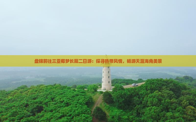 盘锦前往三亚椰梦长廊二日游：探寻热带风情，畅游天涯海角美景