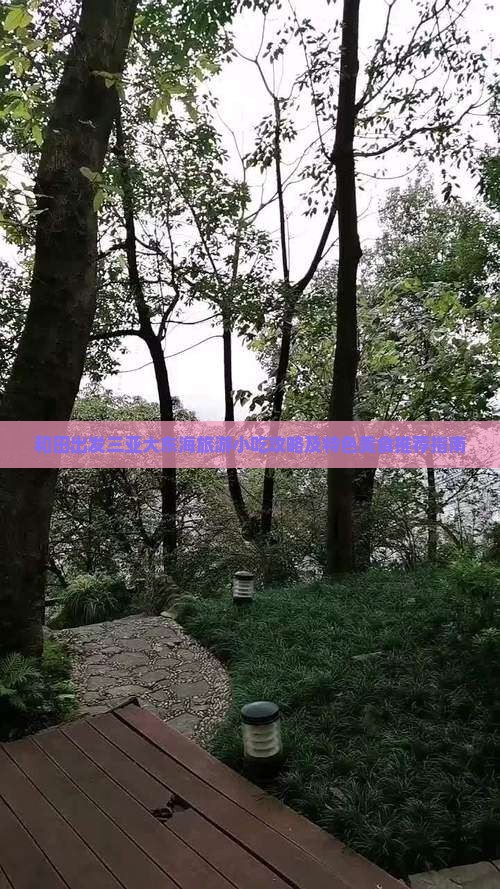和田出发三亚大东海旅游小吃攻略及特色美食推荐指南