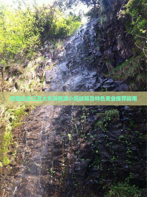 和田出发三亚大东海旅游小吃攻略及特色美食推荐指南