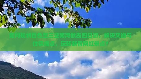 如何规划百色至三亚南湾猴岛四日游，解决交通与住宿痛点，玩转新晋网红景点？