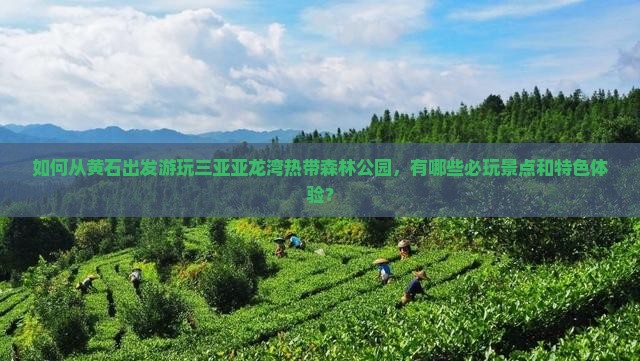如何从黄石出发游玩三亚亚龙湾热带森林公园，有哪些必玩景点和特色体验？