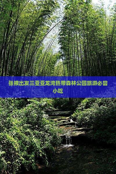 张掖出发三亚亚龙湾热带森林公园旅游必尝小吃