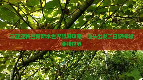 三亚亚特兰蒂斯水世界旅游攻略：汕头出发二日游探秘亚特世界