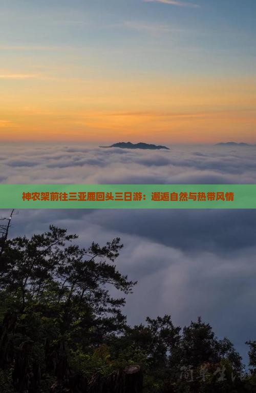 神农架前往三亚鹿回头三日游：邂逅自然与热带风情