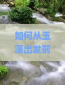 如何从玉溪出发前往三亚海棠湾旅游？玉溪至三亚海棠湾旅游攻略及交通方式解析